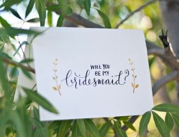 AMIGOS Y AMIGAS DE LOS NOVIOS. BRIDESMAID AND GROOMSMEN. post thumbnail image